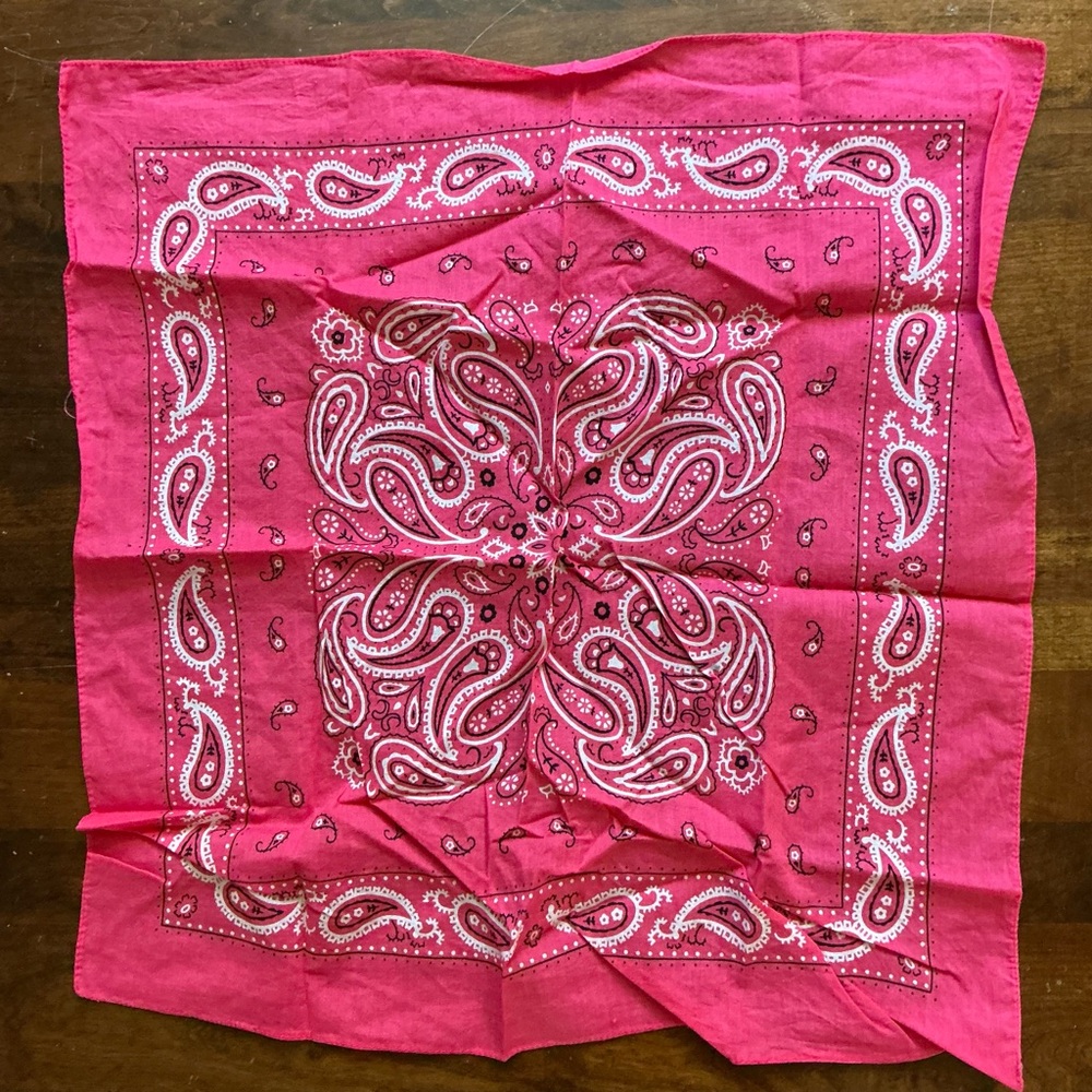 Source Unknown Pink Paisley Bandana
